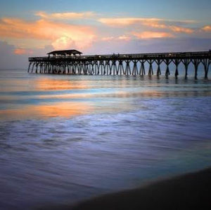 Meet your Posher, Cody